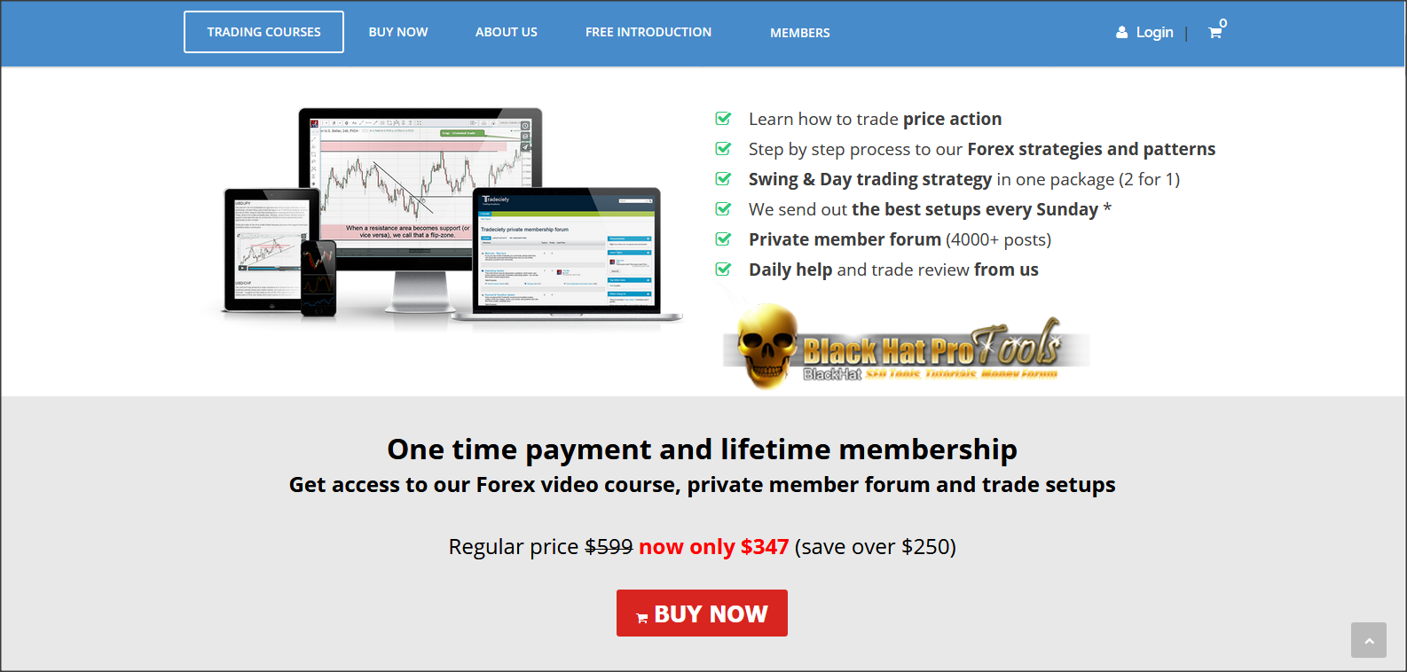 Forex courses free download