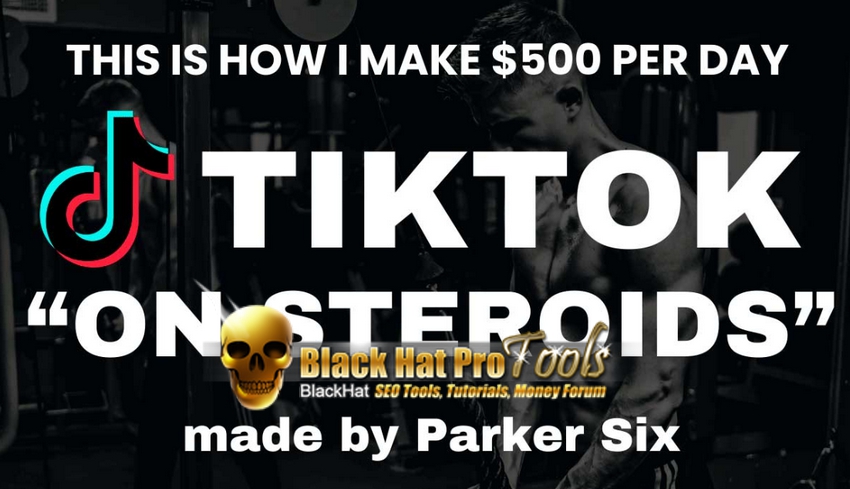 TIKTOK ON STEROIDS – Free Download BuySellMethods Leak Method